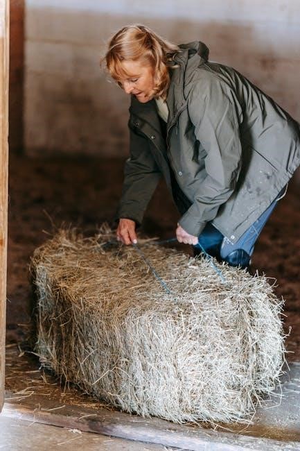 2016 chrysler town and country owners manual 2016 chrysler town and country owners manual